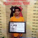 100 Ekor Ayam Kampung Dicuri, Pelaku Ditangkap di Kelurahan Terjun