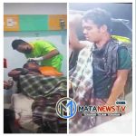 Harimau Sumatera Terkam Petani di Langkat Saat Panen Cabe