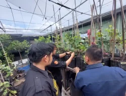Kisah Inspiratif: Mantan Pengguna Narkoba Jadi Pengusaha Sukses di Medan