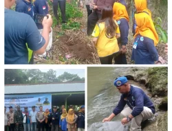 Penaburan Bibit Ikan dan Penanaman Pohon Sempur di Desa Sialang Muda: Upaya Kolaboratif untuk Kelestarian Lingkungan