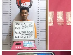 Satres Narkoba Polres Labuhanbatu Berhasil Bongkar Kasus Sabu di Bilah Barat