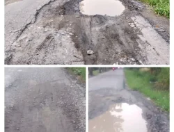 Warga Desa Klambir V Kebun Resah Akibat Truk Pengangkut Limbah: Jalan Rusak dan Berdebu
