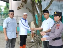 Polres Tebing Tinggi Berbagi Kebahagiaan di Hari Raya Idul Adha, Serahkan Hewan Qurban ke MUI Kota Tebing Tinggi