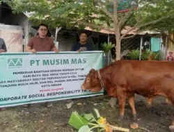 PT Musim Mas Tebar Hewan Kurban di Idul Adha 1445 H, Perkuat Silaturahmi dan Bantu Masyarakat