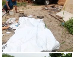 Kilang Somil Ilegal Menggerogoti Lahan Negara di Tandam Hilir: Bau Busuk Persekongkolan Tercium?