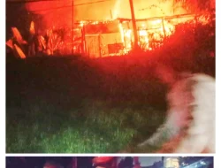 Kebakaran Melanda Rumah Liar di Pinggir Sungai Deli, Satu Keluarga Kehilangan Segala Harta Benda