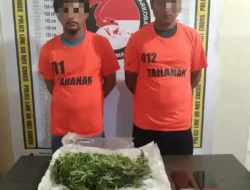 Polres Simalungun Gagalkan Transaksi Narkoba di Perladangan Jeruk, 6,5 Ons Ganja Diamankan!