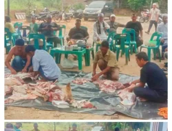 Perwiridan Al Ikhlas Desa Sabungan Sembelih Dua Sapi Kurban di Hari Raya Idul Adha 1445 H