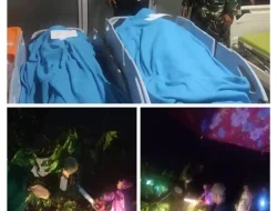 Tragedi Pohon Jati Roboh, Dua Nyawa Melayang di Desa Klambir V Kebun