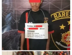 Polsek Bilah Hulu Gagalkan Pencurian Berondolan Sawit PTPN IV, Pelaku Residivis Pernah Dihukum