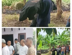 Bocah 7 Tahun Hanyut Ditemukan di Sungai Belawan, Hamparan Perak