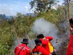 Kebakaran Hutan di Bukit Hapoan Berhasil Dipadamkan Setelah Sehari Berjibaku