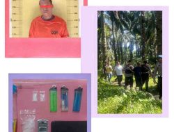 Polres Labusel GKN di Perkebunan Sawit Sisumut, Satu Pengedar Sabu Ditangkap