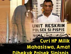 Seorang pengangguran kembali berurusan dengan hukum setelah mencuri handphone milik mahasiswa yang sedang KKN.