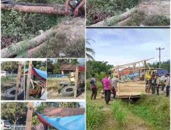 Gubuk Tambal Ban Dibongkar Paksa, Warga Padang Tualang Kecam Tindakan PTPN2