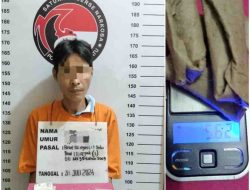Satres Narkoba Polres Labuhanbatu Tangkap Pengedar Ganja. 