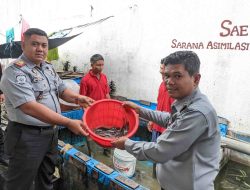 Lapas Kotapinang Sukses Panen Ikan Lele Hasil Program Pembinaan Warga Binaan