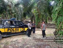 Patroli Pengamanan PTPN IV Regional 1  Antisipasi Pencurian TBS Dan Brondolan