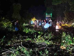 Polsek Torgamba Evakuasi Pohon Tumbang Di Jalinsum Torgamba Akibat Cuaca Ekstrem