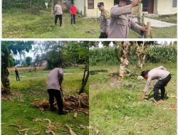 Polsek Onanrunggu Manfaatkan Lahan Kantor untuk Dukung Program 100 Hari Kerja Presiden Melalui Penanaman Jagung