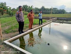 Kapolsek Indrapura Tinjau Lahan Ketahanan Pangan di Desa Aras, Dukung Program Pemerintah