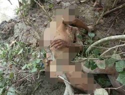 Polsek Tanah Jawa Perlihatkan Profesionalisme dalam Penanganan Kasus Penemuan Mayat di Simalungun