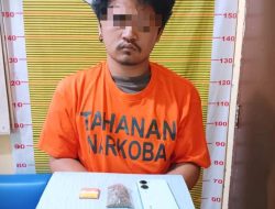 Polres Samosir Tangkap Pemilik Ganja di Warung Tuak Desa Tomok