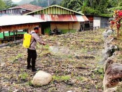 Polsek Harian Siapkan Lahan Warga untuk Budidaya Jagung, Dukung Ketahanan Pangan Nasional