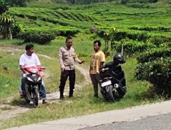 Polres Simalungun Tangkap Pelaku Pungli di Kawasan Wisata Sidamanik, Janji Tingkatkan Patroli