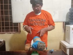 Polres Samosir Amankan Pengedar Narkoba dengan Barang Bukti 1,5 Kilogram Ganja di Desa Cinta Dame