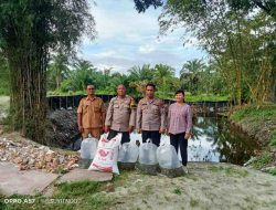 Polsek Indrapura Tebar 3.000 Bibit Ikan Nila untuk Dukung Ketahanan Pangan