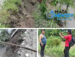 Pengusaha dan Warga Sigap Perbaiki Tanggul Longsor Akibat Banjir di Hamparan Perak