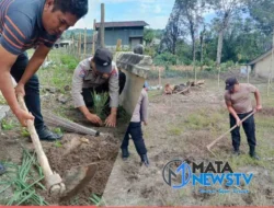 Lahan Kosong Polsek Onanrunggu Ditanami Tumbuhan Ketahanan Pangan