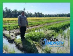 Polsek Labuhan Ruku Dukung Program Ketahanan Pangan di Desa Air Hitam