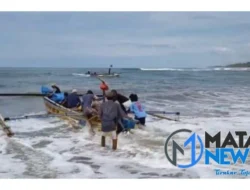 Polres Pesisir Barat Tegaskan Komitmen Berantas Ilegal Fishing, Ungkap Kasus Perdagangan Benih Bening Lobster
