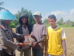 Bhabinkamtibmas Polsek Siantar Marihat Dukung Ketahanan Pangan dengan Penanaman Jagung