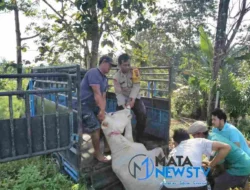 Respon Cepat Polsek Siantar Marihat, Atasi dan Selesaikan Permasalahan Warga Yang Melapor