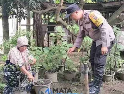 Bhabinkamtibmas Polsek Siantar Marihat Dukung Ketahanan Pangan di Kelurahan Simarimbun