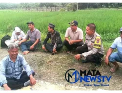 Bhabinkamtibmas Polsek Stabat Dampingi Perencanaan Saluran Irigasi Demi Ketahanan Pangan Nasional