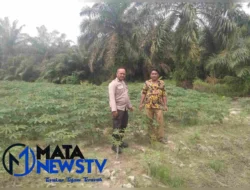 Bhabinkamtibmas Polsek Indrapura Dukung Program Ketahanan Pangan Pemerintah