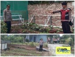 Polsek Indrapura Dorong Ketahanan Pangan dengan Pemanfaatan Lahan Pekarangan  Batu Bara | matanewstv.com 