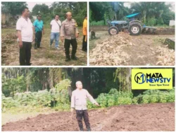 Polsek Tanah Jawa Siapkan Lahan Ketapang Dukung Program Ketahanan Pangan Presiden