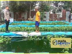 Bhabinkamtibmas Polsek Stabat Ajak Warga Desa Banyumas Manfaatkan Pekarangan untuk Ketahanan Pangan