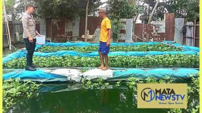 Bhabinkamtibmas Polsek Stabat Ajak Warga Desa Banyumas Manfaatkan Pekarangan untuk Ketahanan Pangan