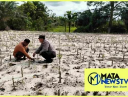 Polsek Medang Deras Dukung Program 100 Hari Presiden RI untuk Ketahanan Pangan