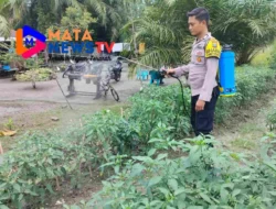 Bhabinkamtibmas Polsek Medang Deras Dukung Ketahanan Pangan di Desa Sei Buah Keras