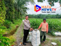 Polsek Indra Pura Dorong Pemanfaatan Pekarangan untuk Dukung Ketahanan Pangan Nasional