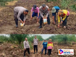 Polsek Indra Pura Dorong Pemanfaatan Lahan Pekarangan untuk Ketahanan Pangan