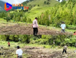 Polres Samosir Tanam 10 Kg Bibit Jagung untuk Dukung Program Ketahanan Pangan