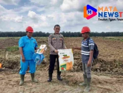 Dukung Ketahanan Pangan, Polsek Lima Puluh Pantau Lahan Jagung di Perkebunan Dolok